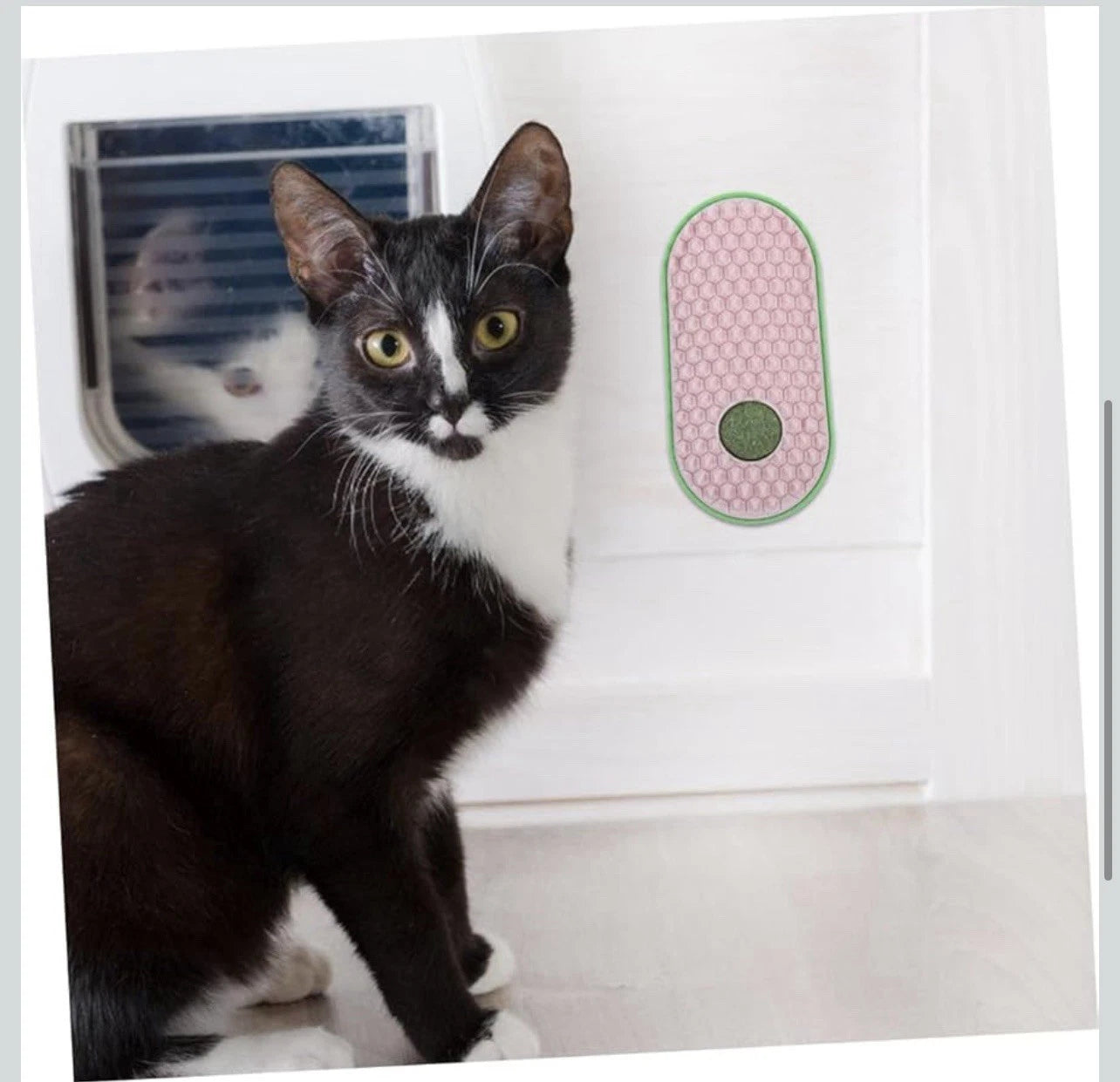 2pcs Wall Sticky Licking Ball Toys Wall Self Massage Comb Scratchers for