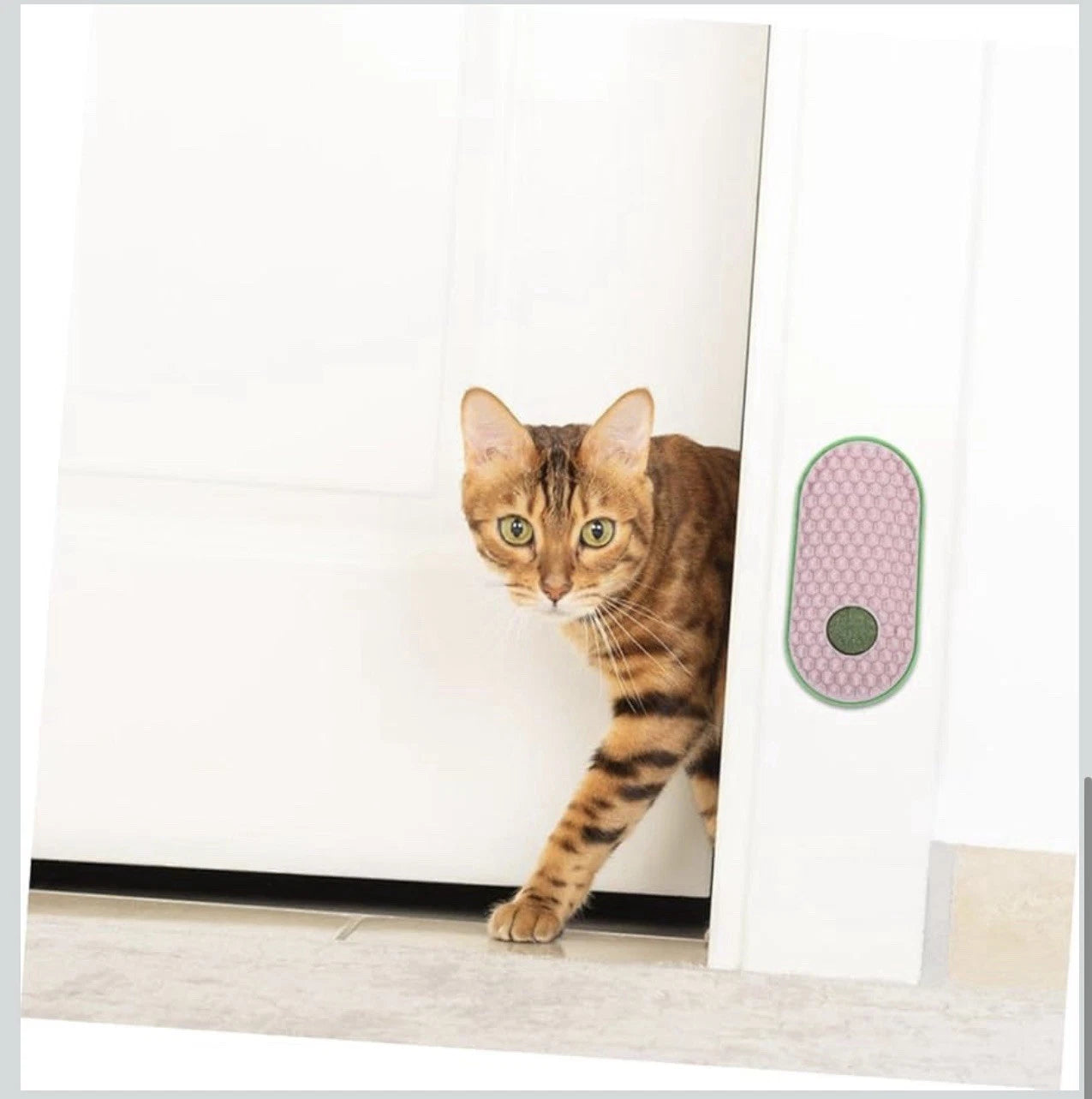 2pcs Wall Sticky Licking Ball Toys Wall Self Massage Comb Scratchers for