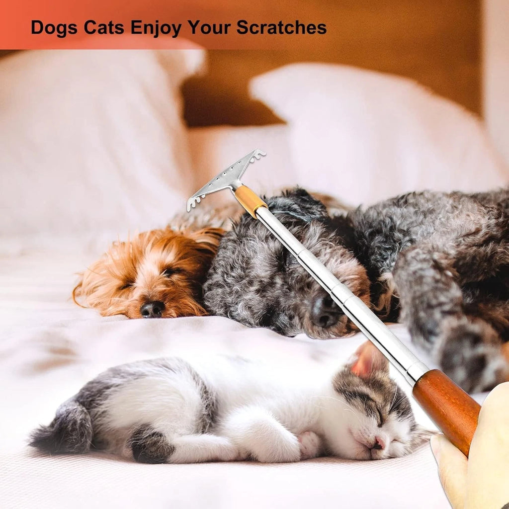 Back Scratchers Telescoping Handheld Massager for Body Face Scalp Feet 2pcs