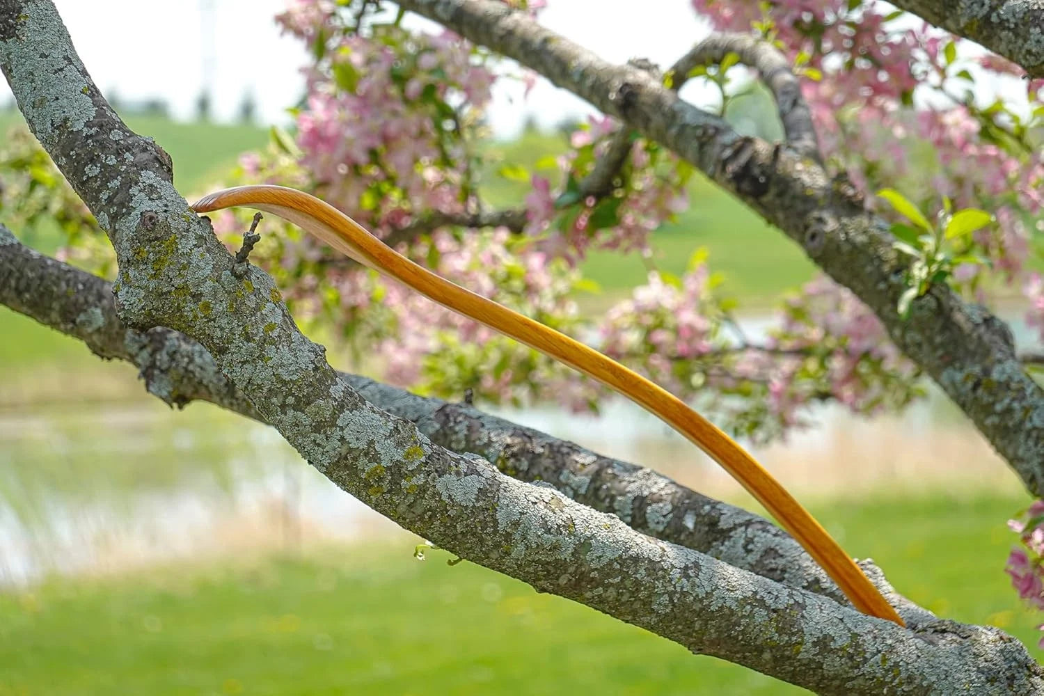 Oversized Wooden Back Scratcher: 18'' Extended Curved Handle for Yellow