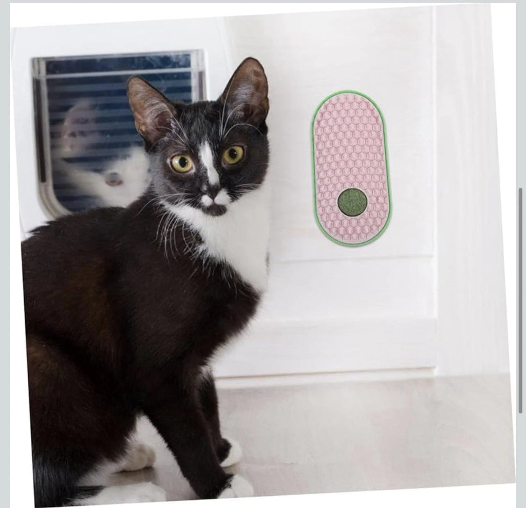 2pcs Wall Sticky Licking Ball Toys Wall Self Massage Comb Scratchers for