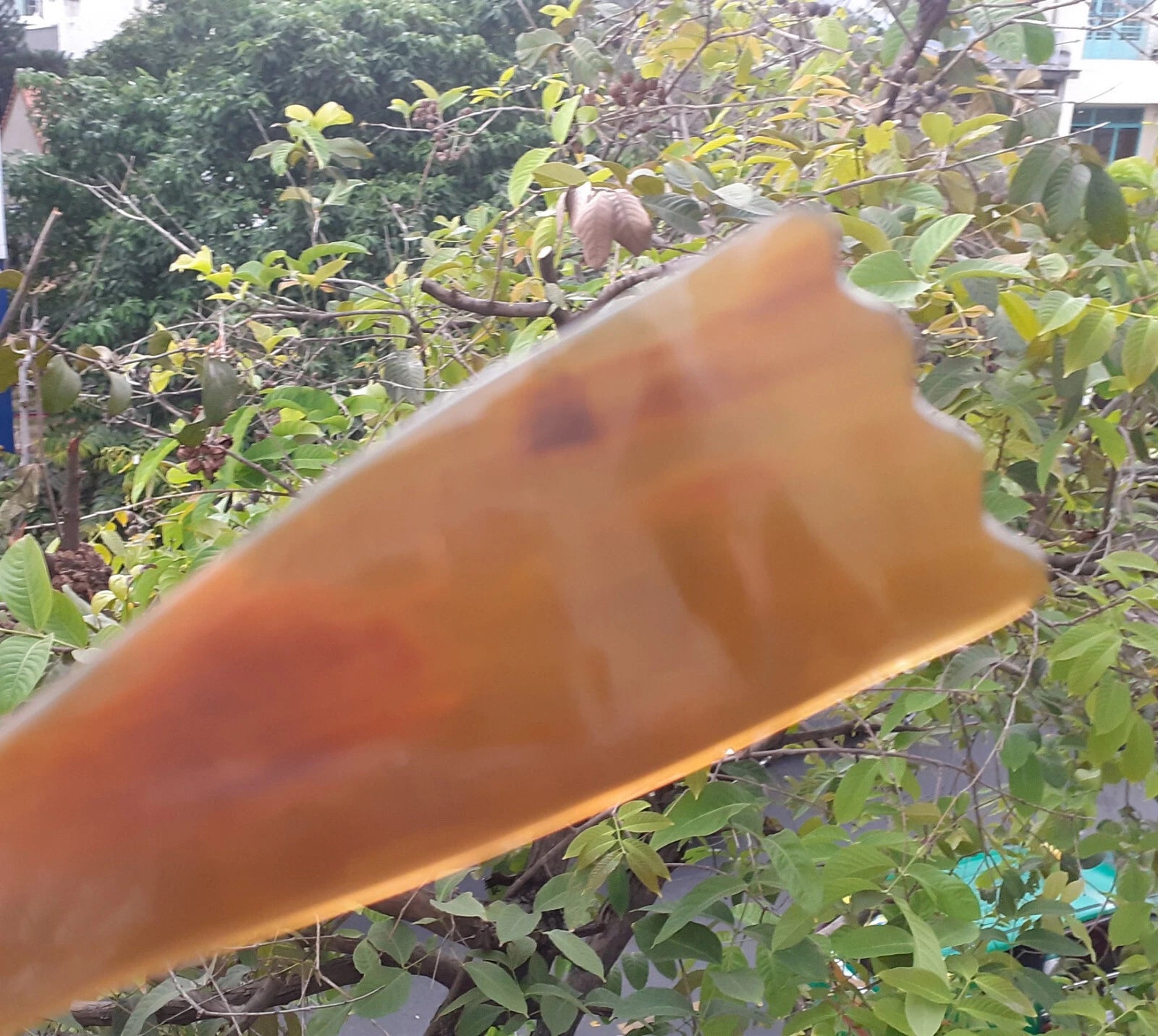 8.6" Portable Back Scratcher Handcarved from Natural Buffalo Horn