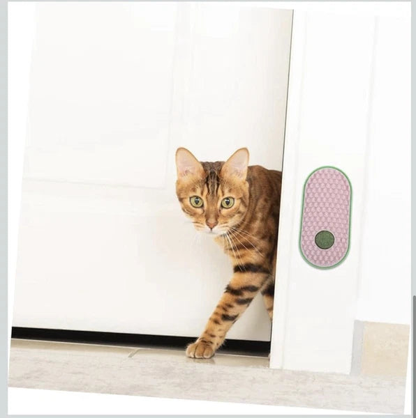 2pcs Wall Sticky Licking Ball Toys Wall Self Massage Comb Scratchers for