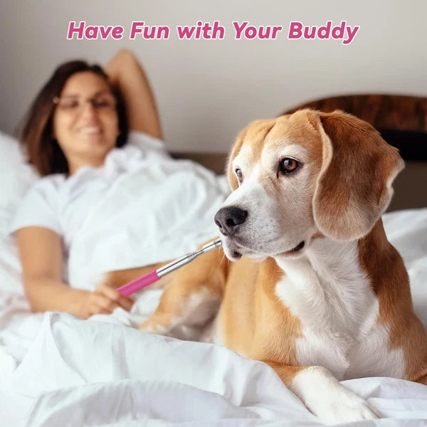 Telescoping Back Scratcher with 3Pcs Detachable Heads, Gifts for Christmas, S...