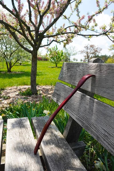 Oversized Wooden Back Scratcher: 18'' Extended Curved Handle for Better Reach