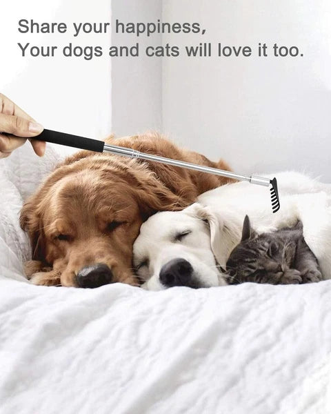 Portable Extendable Back Scratcher 2 Pack - Stainless Steel, Telescoping, Eas...