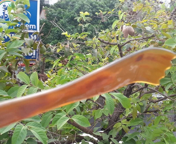 8.6" Portable Back Scratcher Handcarved from Natural Buffalo Horn