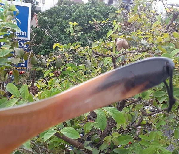 8.6" Portable Back Scratcher Handcarved from Natural Buffalo Horn