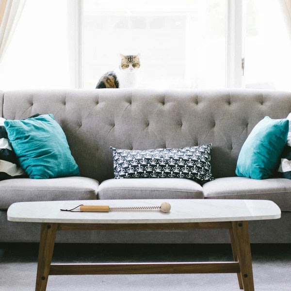 5 Piece Set - 4X Traditional Back Scratcher and Body Relaxation Massager Set ...