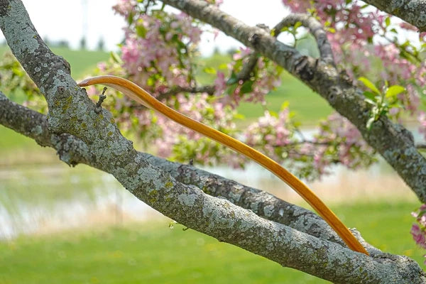 Oversized Wooden Back Scratcher: 18'' Extended Curved Handle for Yellow